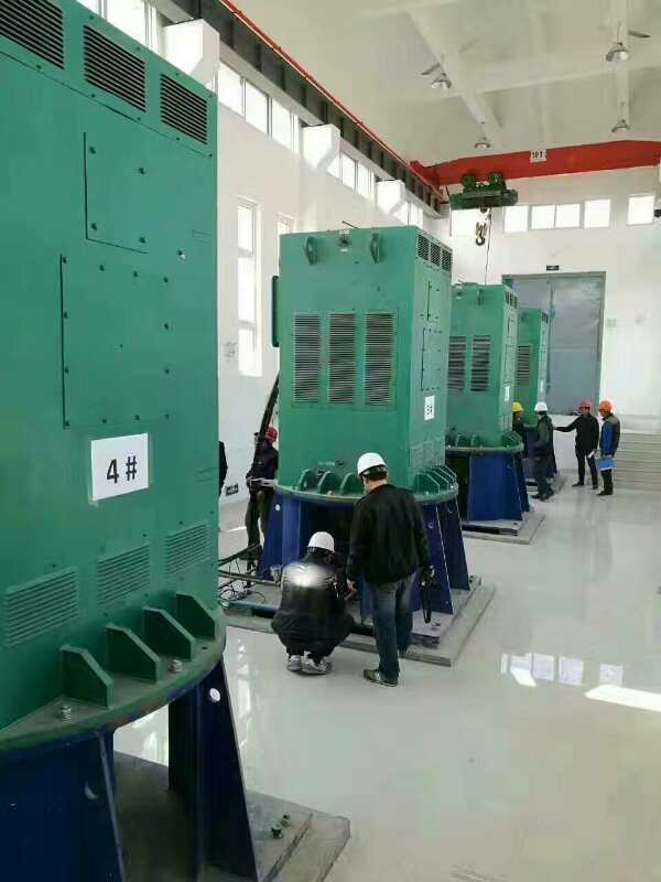 雅安某污水处理厂使用我厂的立式高压电机安装现场