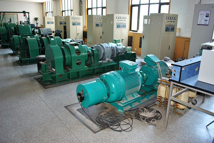 雅安某热电厂使用我厂的YKK高压电机提供动力